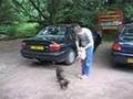 videos de Ruby goes riding in the car, car