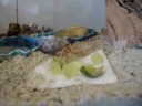 Dinner Time!