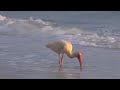 ROMANTIC GUITAR Music Relaxing Instrumental Love Songs Relax Study Music Relaxation for Studying