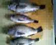 �}�S�`