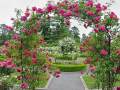 The Garden- Mirah