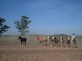 gauchos-and-horse-riding-argentina.htm