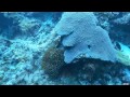 ISAW Action Cam Official Video Pt.5