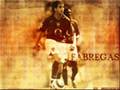 cesc fabregas