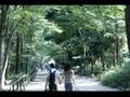 20070816_京都, Vivaldi 調和の霊感 第8番 第2楽章