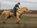 Docs Fancy Wimpy -Longer VIDEO!