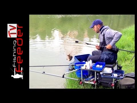 ловля спортивным фидером ловля спортивным фидером