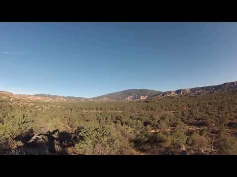 Los Padres National Forest