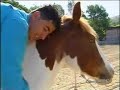 Gianpiero e il cavallo intelligente Gianpiero e il cavallo intelligente