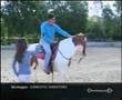 Gianpiero e il cavallo intelligente