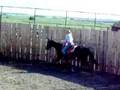videos de Stainsleigh Light Horse