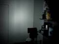 Earthtech Products Solar Powered 80 LED Motion Security Ligh