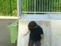stunts with skate