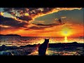 Click here to watch this video Kenneth Bager feat. Nikolaj Grandjean - Love Won't Leave Me Alone