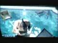   Transplants - DJ DJ