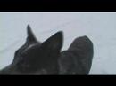 mdg1-year-later.html