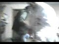 una chupadera ps en la despedida de mi causa monky uff chupamos como nunca...