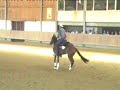 WRR Issum 2008 Reining Amateur