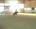 WRR Issum 2008 Reining Amateur