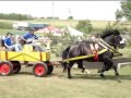 Furmansk� preteky 2008