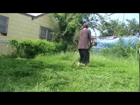 how to trim grass plants