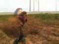 Rolling in the cash - the tumbleweed tycoon