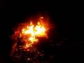 videos de What Bug Spray Can Do!!!! Watch...