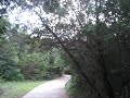 Longview Park Path Bike-thru