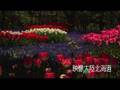 Hokkaido Japan-spring-