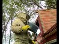apicultura migratoria