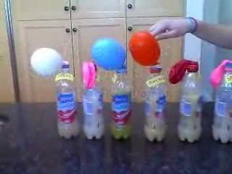 The Yeast Chronicles
