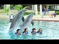 Delphinus da la bienvenida a los Potros del Atlante.