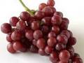 videos de Fruit-Tay