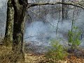 great meadows brush fire