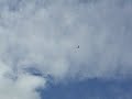 Nurfl�gel RC. mod. Silverlit X - Twin