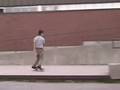 videos de northasian regional thumble bug