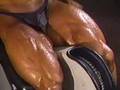 Bodybuilder-Vern-Gau