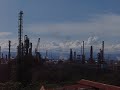 dinamirta-torres-informante-de-las-farc-en-la-banda.html