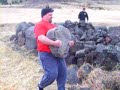 Husafell Stone carry