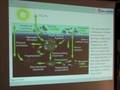Ocean Food Webs - Midwater Food Webs