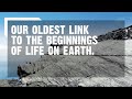Mistaken Point