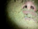 Thumbnail #1