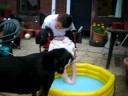 BEYNON IN THE POOL