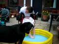 BEYNON IN THE POOL