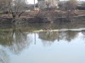 Aviron 2-