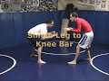 Single Leg Takedown to Knee Bar