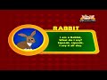 Animal Sounds in Hindi - Rabbit