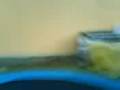 videos de MOV00576