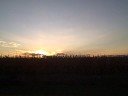 Hwy 65 Corn at Dusk IOWA