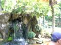 Taman Mini Indonesia Indahのバードパーク